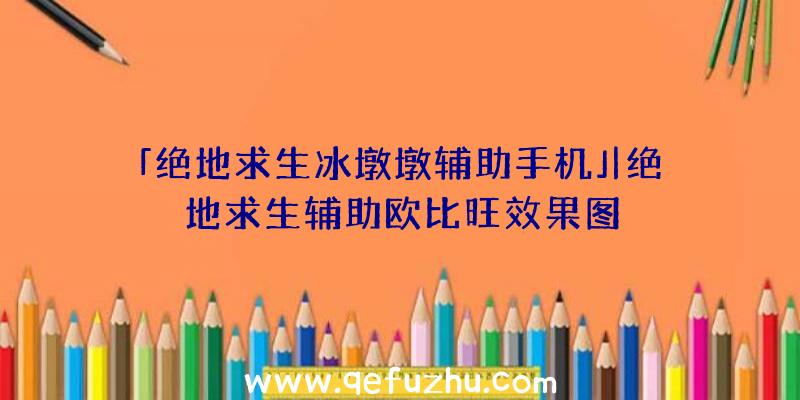 「绝地求生冰墩墩辅助手机」|绝地求生辅助欧比旺效果图